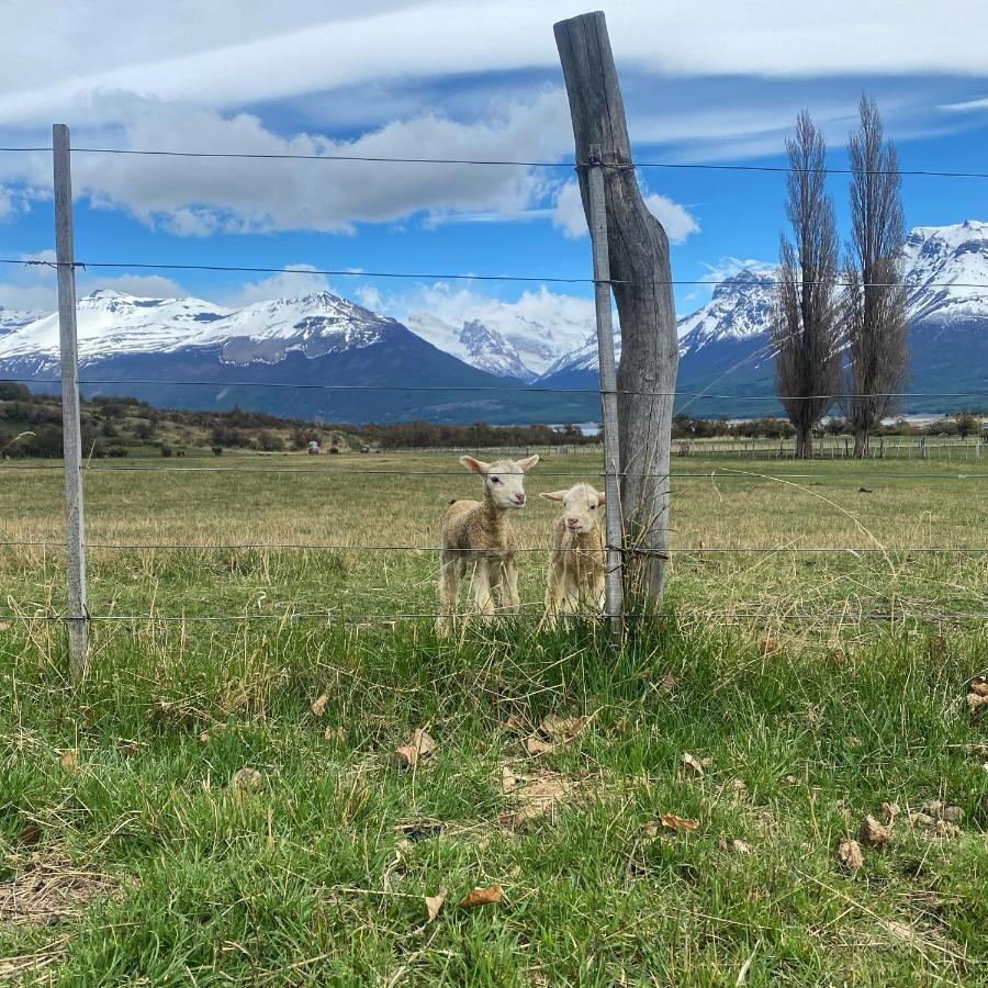 Estancia Nibepo Aike Colonia Francisco Perito Moreno エクステリア 写真