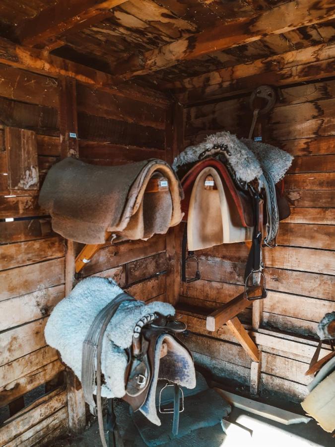 Estancia Nibepo Aike Colonia Francisco Perito Moreno エクステリア 写真