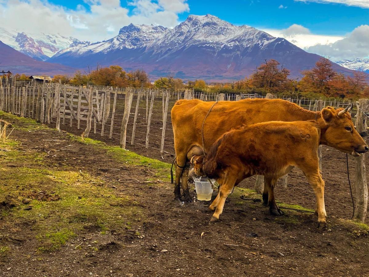 Estancia Nibepo Aike Colonia Francisco Perito Moreno エクステリア 写真