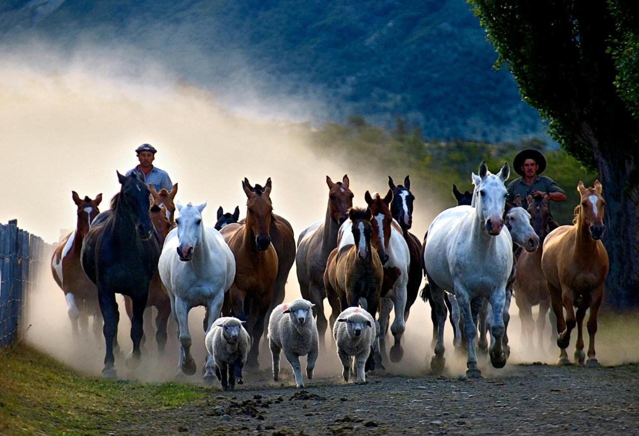 Estancia Nibepo Aike Colonia Francisco Perito Moreno エクステリア 写真