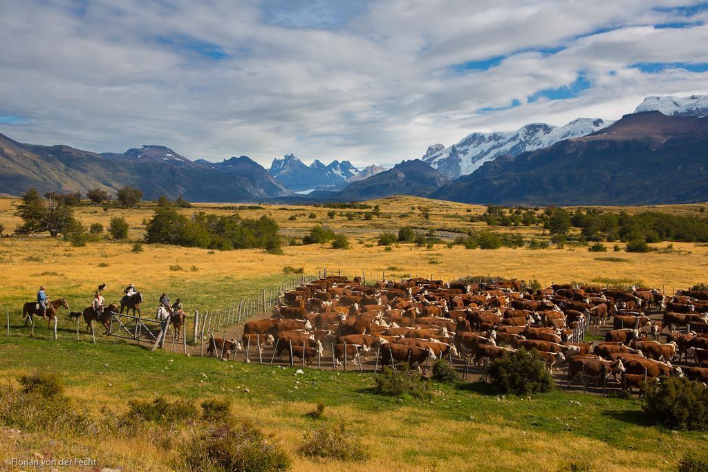 Estancia Nibepo Aike Colonia Francisco Perito Moreno エクステリア 写真