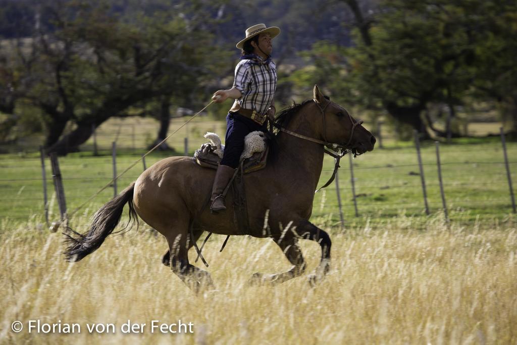 Estancia Nibepo Aike Colonia Francisco Perito Moreno エクステリア 写真