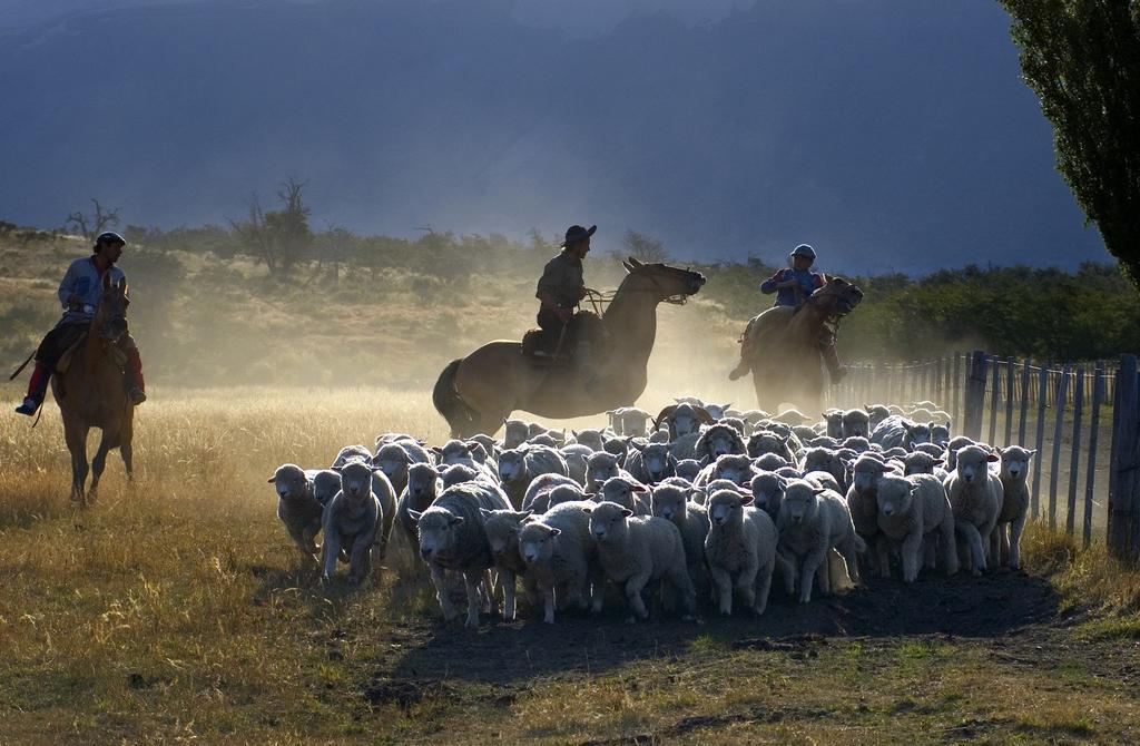 Estancia Nibepo Aike Colonia Francisco Perito Moreno エクステリア 写真